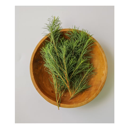 Aromatica - Mousse nettoyante au théier 180g