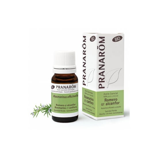 Pranarôm Bio Huile Essentielle Romarin à Camphre 10 ml