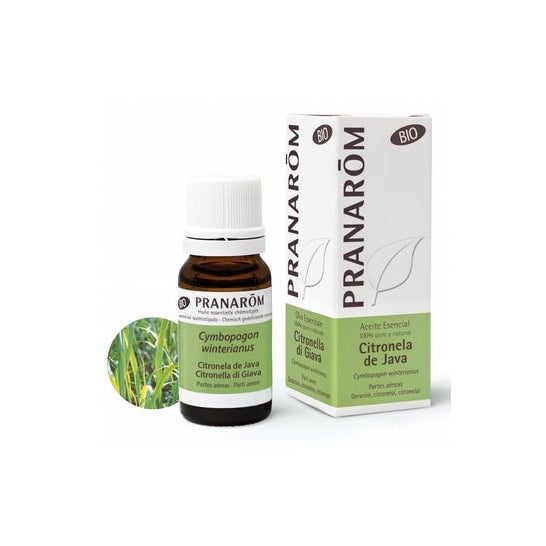 Pranarom Huile Essentielle Bio Citronnelle de Java 10ml