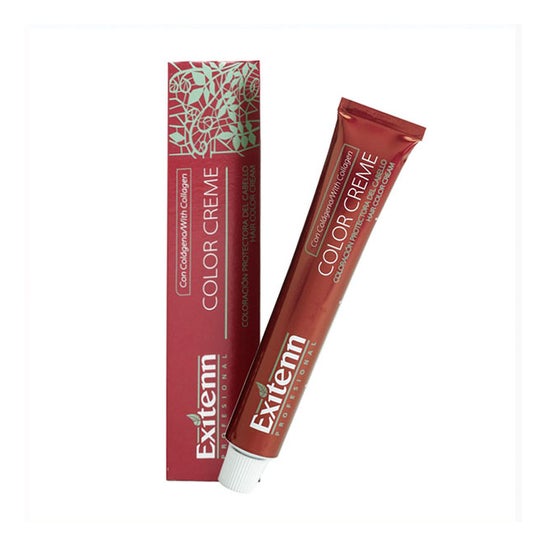 Exitenn Crème de Couleur Couleur Argent 60ml