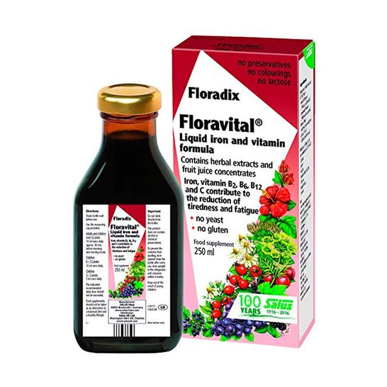 Pur Aliment Salus Floradix Floravital Boisson Bouteille 250ml
