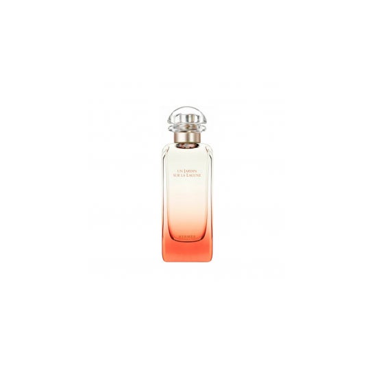 Hermes Paris Jardin Sur La Lagune Eau De Toilette 100ml