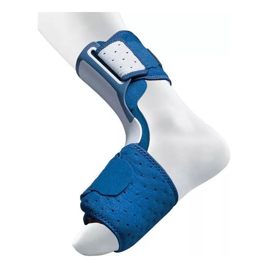 3M Nocturne 3M Fascitis cheville Fascitis Planting Future (Nouveau) 3M Nocturne 3M Fascitis cheville Fascitis Planting Future (Nouveau)