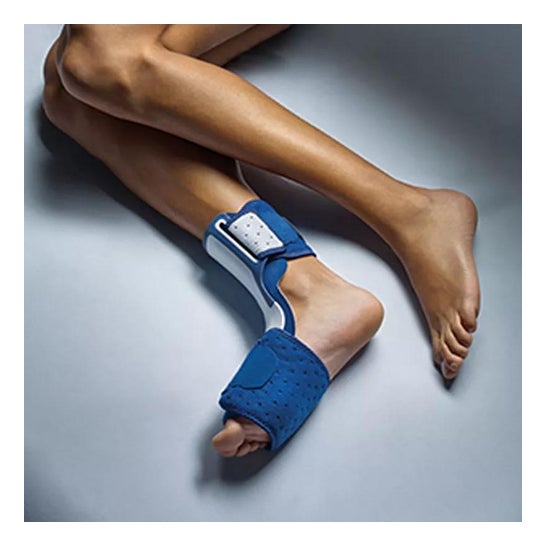 3M Nocturne 3M Fascitis cheville Fascitis Planting Future (Nouveau) 3M Nocturne 3M Fascitis cheville Fascitis Planting Future (Nouveau)