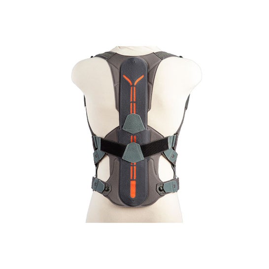 Orliman Lumbitron Support de dos Lumbitron LT-330 T6 1ud