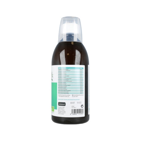 Vitalart Vitalart Bio-Detox Purifying Vitalart 500ml
