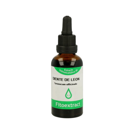 Pissenlit phytoextrait de pissenlit de pissenlit 50ml
