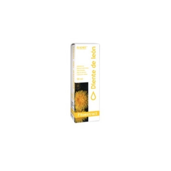Pissenlit phytoextrait de pissenlit de pissenlit 50ml