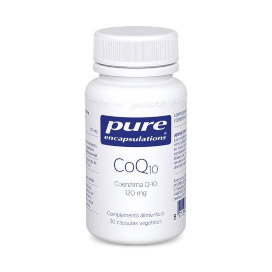 Encapsulations pures Coq10 30 Caps