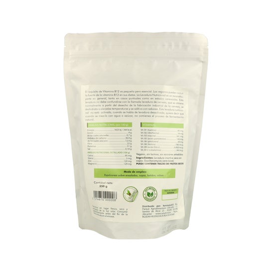 Salud Viva Levure Nutritionnelle B12 250g