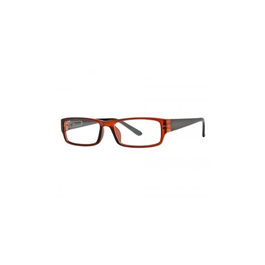 Nordic Vision Sater modèle marron et noir +2.50 dioptries 1 u.