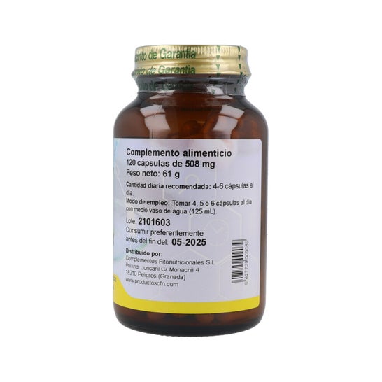 CFN Enzym Complex 120caps