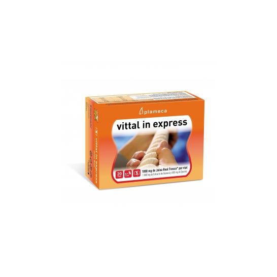 Plameca Vittal In Express 20x10ml