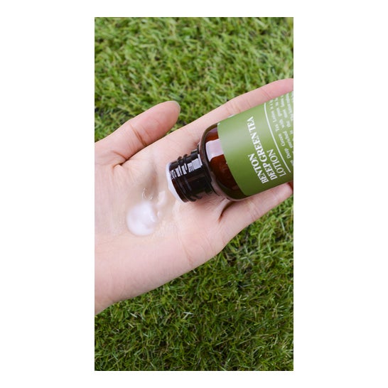 Benton Benton Benton Thé vert foncé Thé vert profond Thé vert Loci¢n Thé vert 120ml