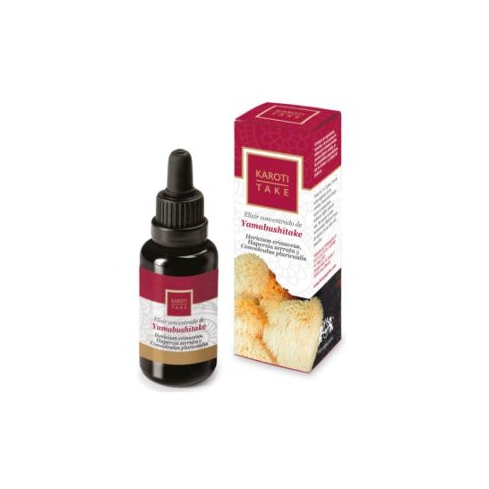 Hiranyagarba Karoti-Take Yamabushitake 30ml