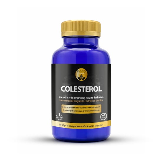 Phytofarma Cholestérol 90 gélules