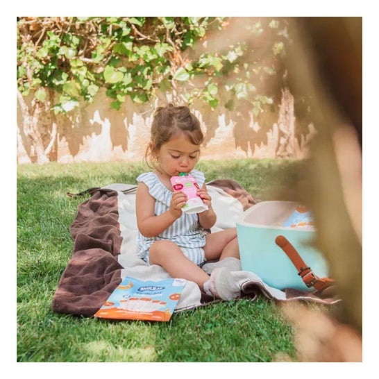 Pochette de yaourt Smileat Framboise +12M 100g Pochette de yaourt Smileat Framboise +12M 100g