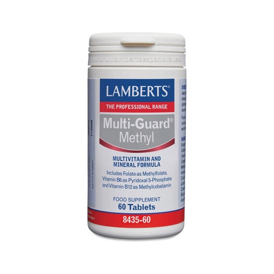 Lamberts Multi Guard Méthyle 60comp
