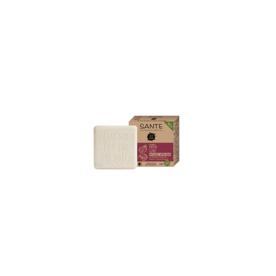 Sante Acondicionador Sólido Abedul Bio & Proteína Vegetal 60g