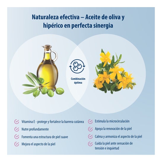 Evolsin Huile Anti-Cellulite 100ml + Rouleau de Massage
