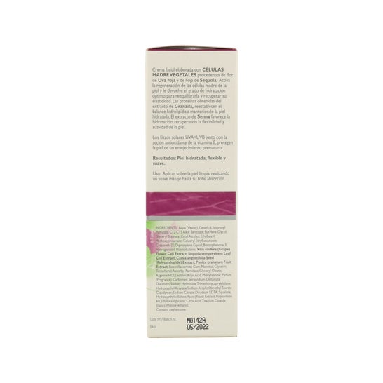 Crème hydratante Sano Corpore P/s Mother Cells Red Grape