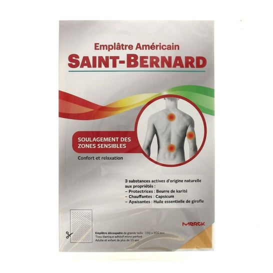 Saint-Bernard Emplâtre Américain 19x30cm