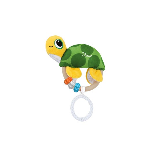Chicco Jeu Onda De La Tortue 1ut