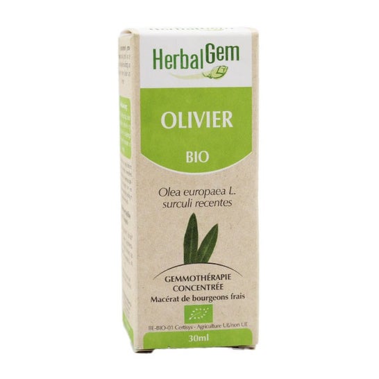 Herbalgem Macer Mer Bio Olivie30ml