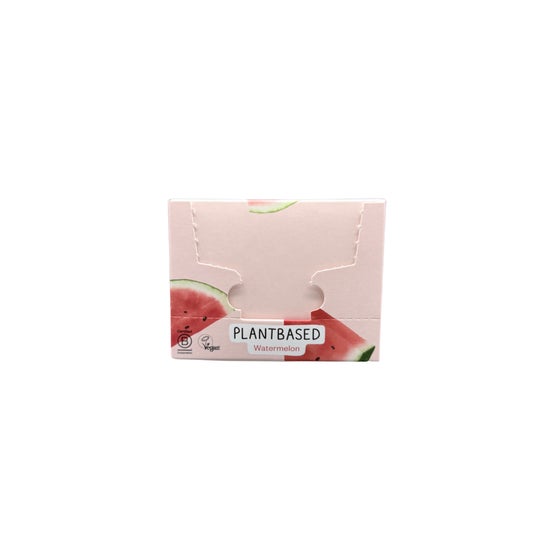 True Mints Bonbons Sans Sucre Pastèque 18x13 g
