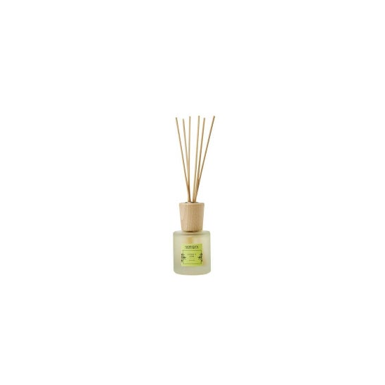 Neavita Diffuseur avec Bâtons Litsea et Citron Vert 100ml