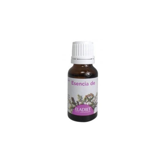 Huile essentielle phytosanitaire d'eucalyptus 15ml