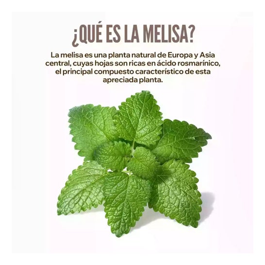 HSN Extracto de Melisa 15:1 500mg 120vcaps