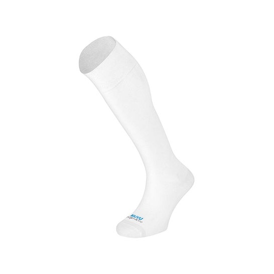 ÉLÉMENTERRE #5 - Photosynthèse Vgne - YouTube