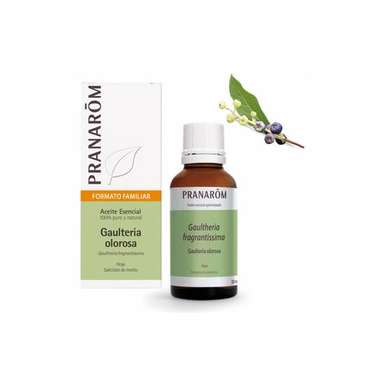Gaulther Odor Pranarom He Bio 30ml