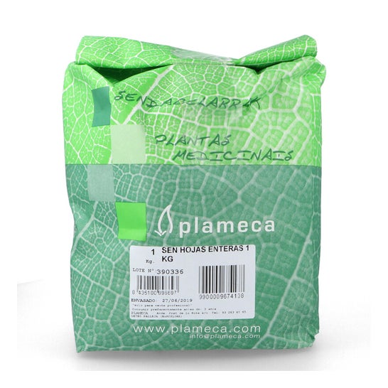 Plameca Gingenbre Root 1000g