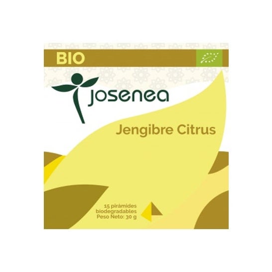 Josenea gingembre agrumes bio boîte 15 pyramides