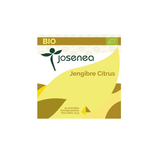 Josenea gingembre agrumes bio boîte 15 pyramides