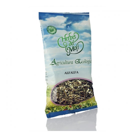 Alfalfa En Planta 45 Gr *