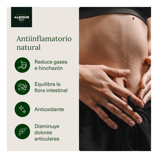 Aldous Bio Curcuma Gingembre & Poivre Noir + Probiotiques 250 Capsules