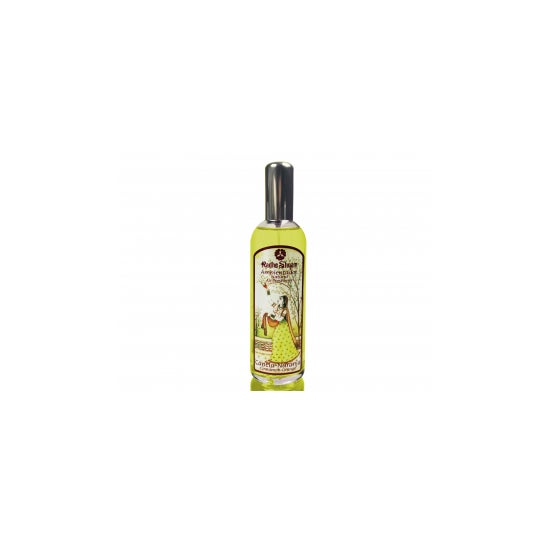 Radhe Shyam Désodorisant Canela-Orange Spray 100ml