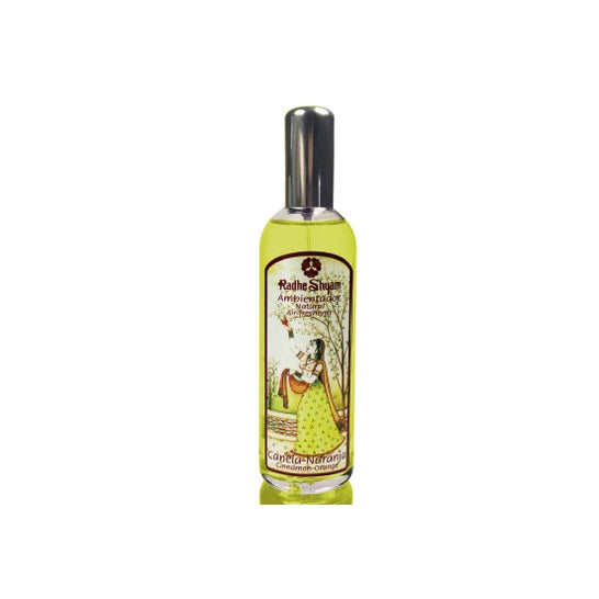Radhe Shyam Désodorisant Canela-Orange Spray 100ml