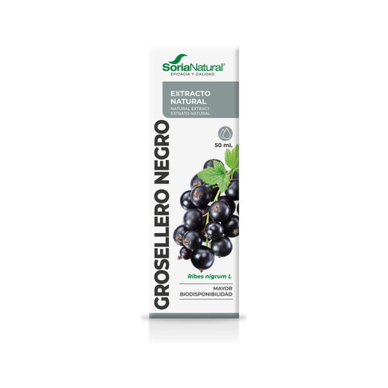 Extracto Grosellero Negro Xxi 50 Ml Sori *