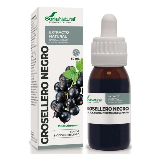 Extracto Grosellero Negro Xxi 50 Ml Sori *