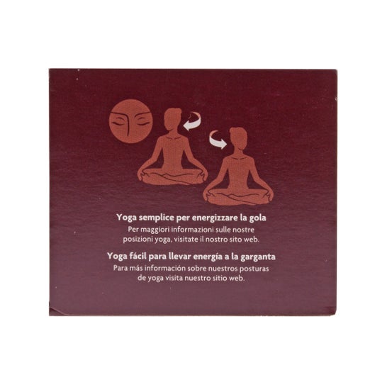 Yogi Tea Échinacée 17 sachets