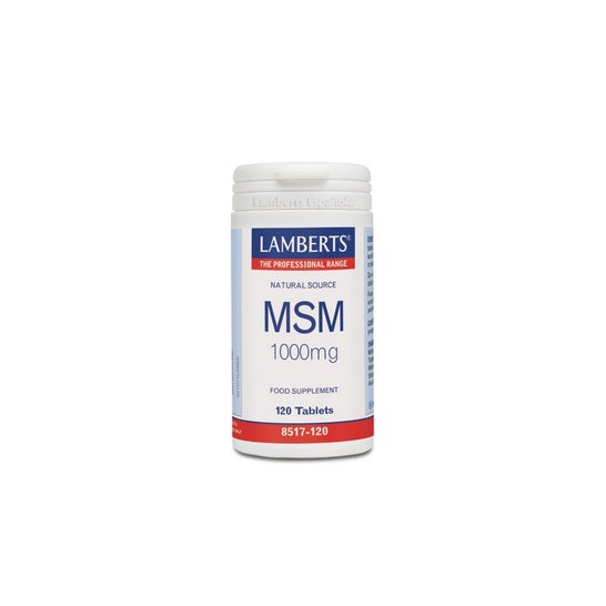 Lamberts MSM 1000 mg 120 comprimés