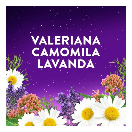 Zzzquil Sono Forte 60 Gummies Zzzquil Sono Forte 60 Gummies