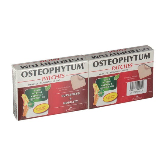 3 Chênes Osteophytum 14 Patchs Lot De 2