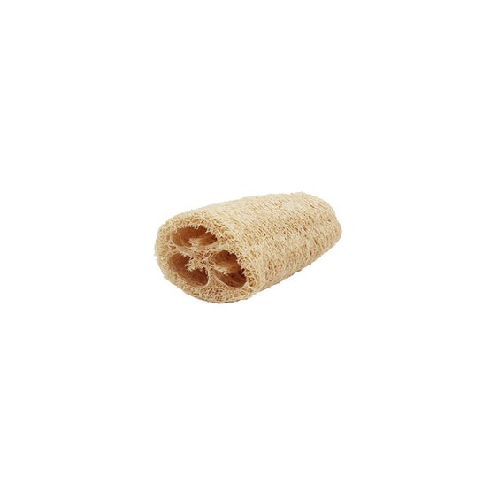 NaturaBIO Cosmetics Luffa petite 1 unité
