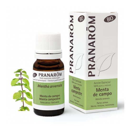 Pranarôm : huiles essentielles bio et aromathérapie - Sens Nature
