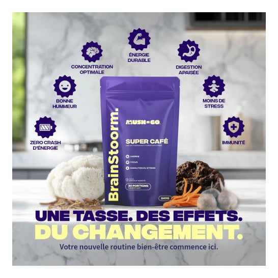 MushNGo Brainstoorm Super Café Goût Chocolat Noisette 240g